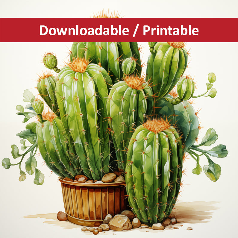 A Collection of Cacti Illustration Pencil Drawing - Digital Download Printable Artwork
