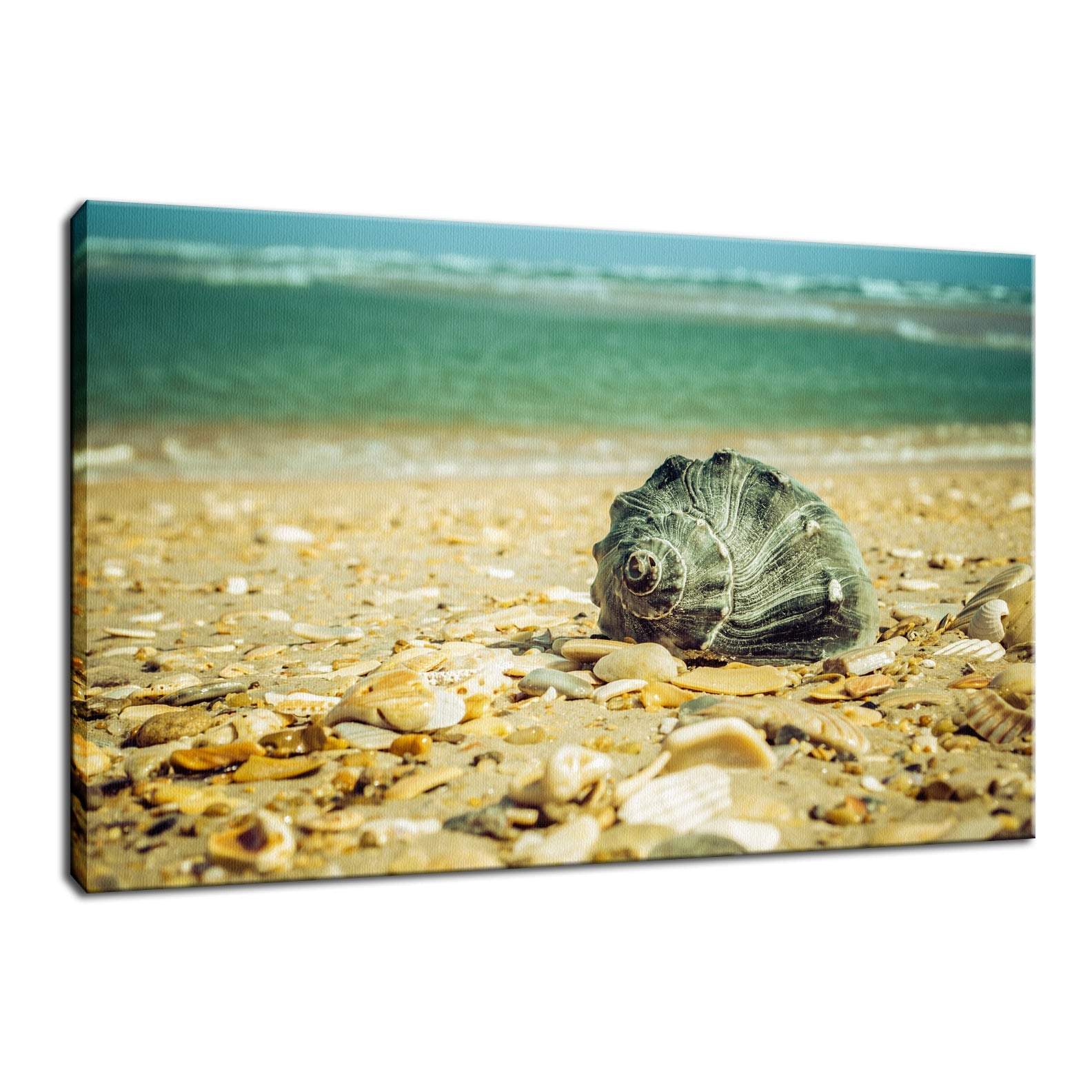 Daydreams on the Shore Nature / Coastal Photo Fine Art Canvas Wall Art Prints
