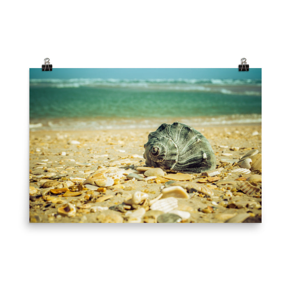 Daydreams on the Shore Coastal Nature Photo Loose Unframed Wall Art Prints