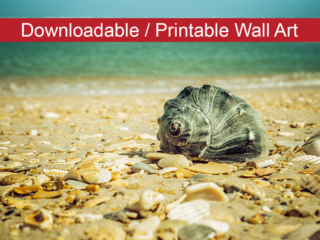Daydreams on the Shore Coastal Nature Photo DIY Wall Decor Instant Download Print - Printable