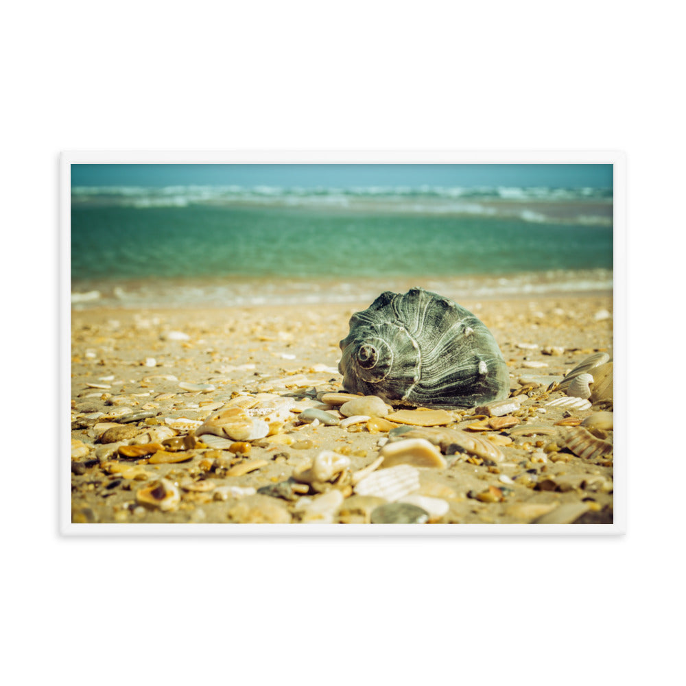 Daydreams on the Shore Coastal Nature Photo Framed Wall Art Print